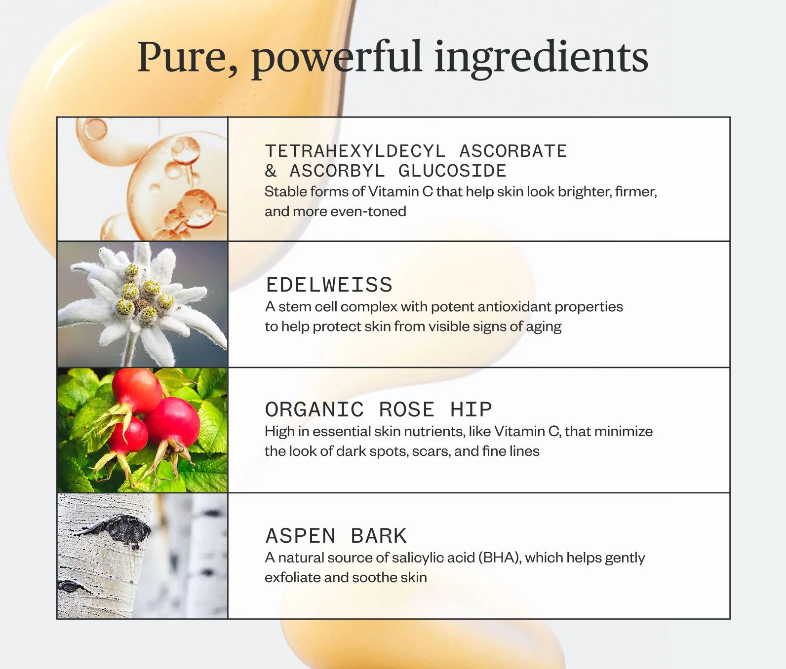 Brighten Up Vitamin C Serum - Image 7