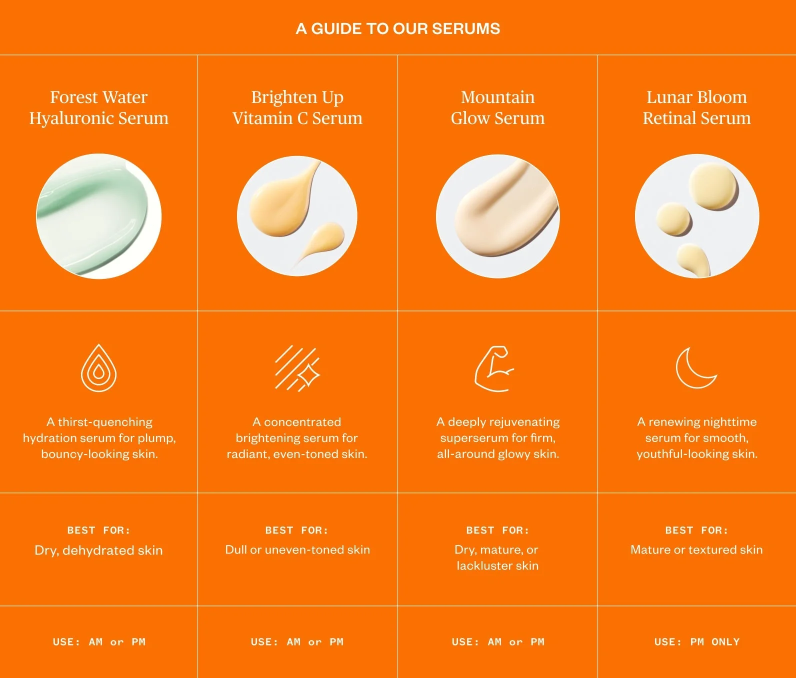 Brighten Up Vitamin C Serum - Image 8