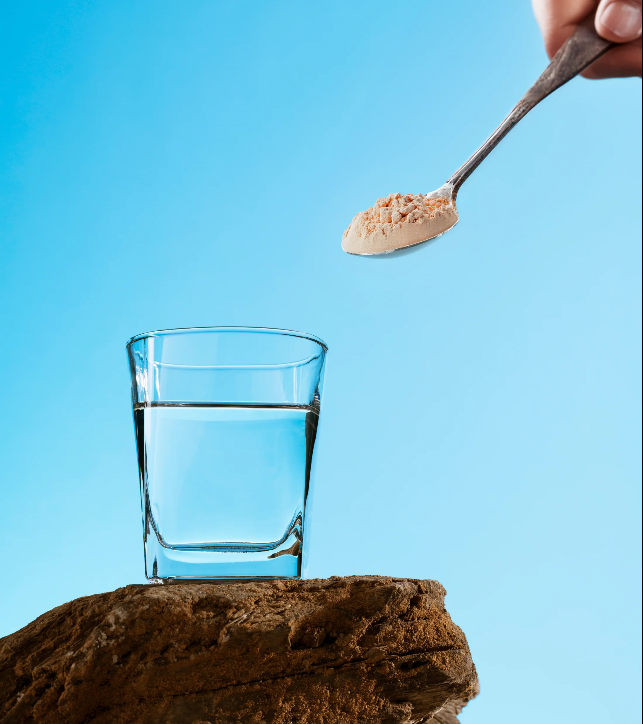 Jung+ Fasting Tonic™ - Image 8