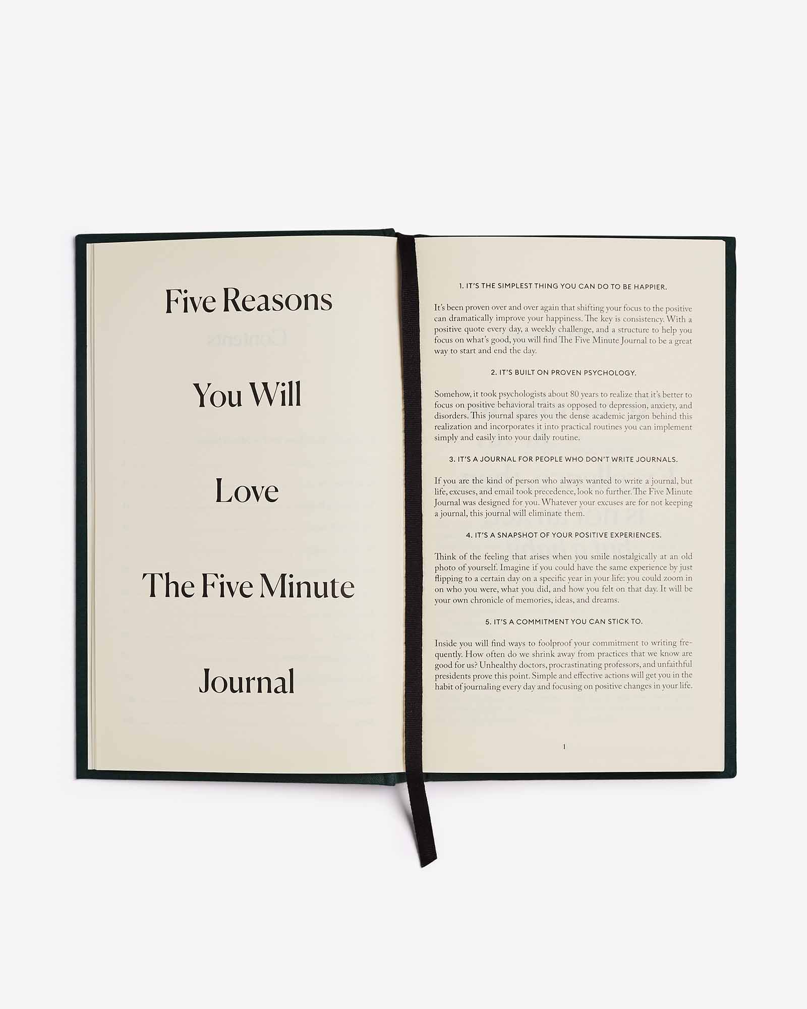 The Five Minute Journal - Earth Green - Image 5